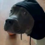 Xcroox74